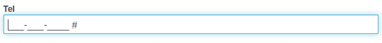 Input mask phone empty